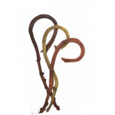 BANANA STICKS 27"- 36" COLORS